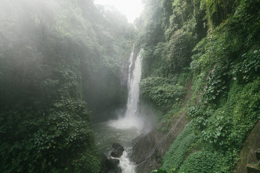 The Surprising Cultural Significance of High Cocoa Chocolate in Bali