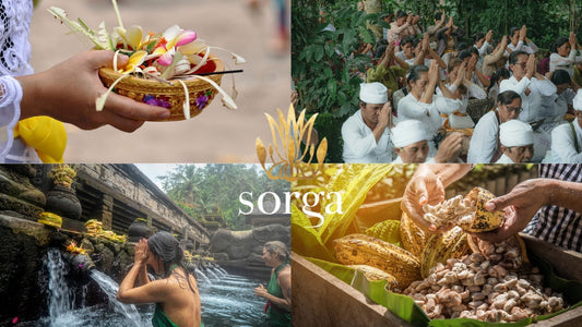 Cacao Ceremony in Ubud, Bali: A Heart-Opening Ritual Powered by Sorga Chocolate’s Organic Balinese Cacao