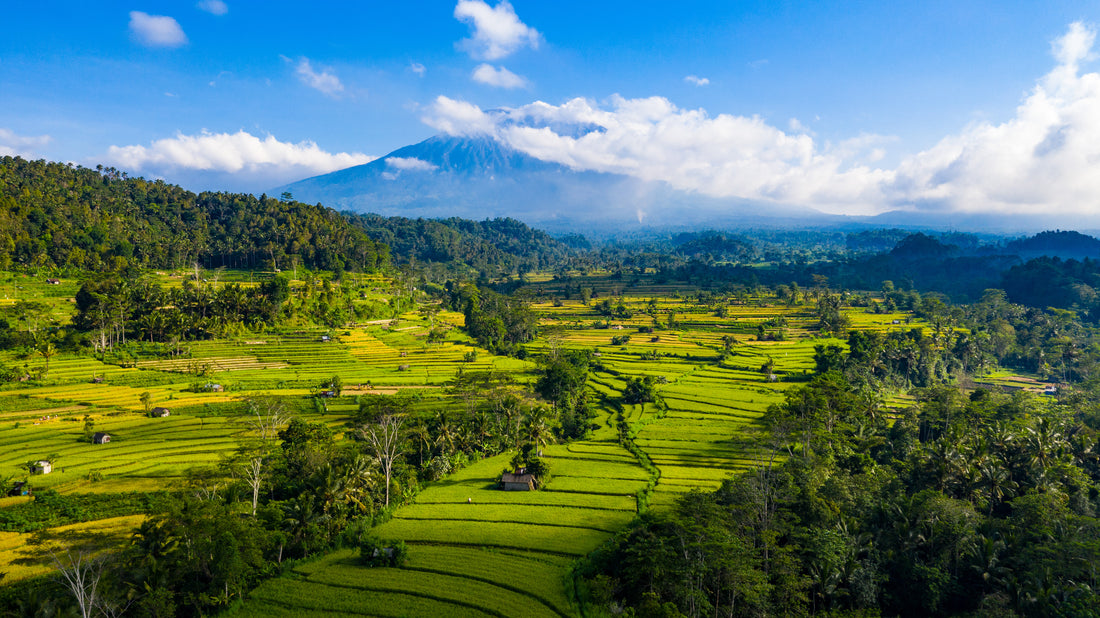 Top 10 Things To Do In Karangasem, Bali: A Must Visit to Experience the Old Bali